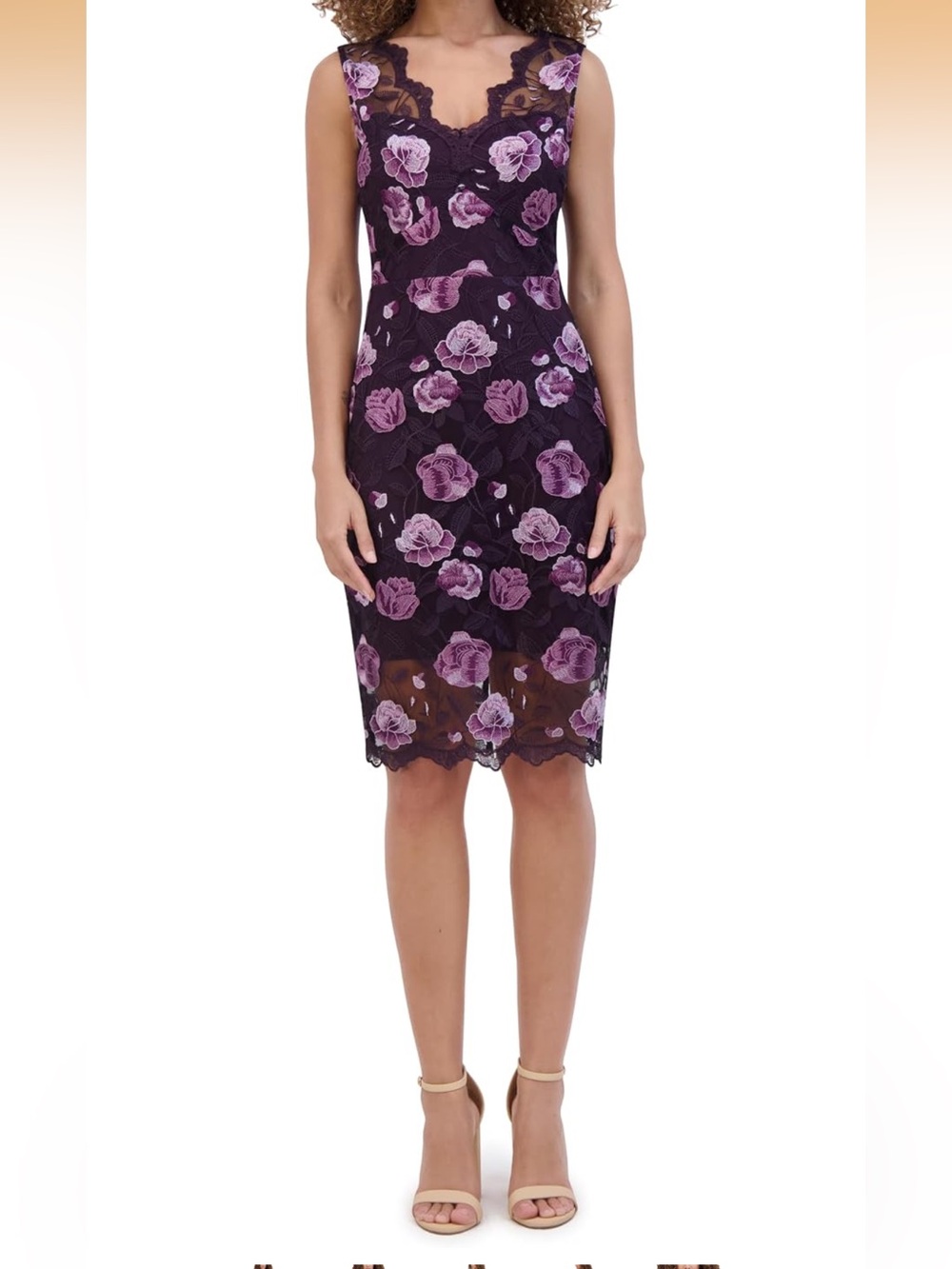 Kensie Size 4 Sleeveless V-Neck Embroidered Mesh Sheath NWT Dress
